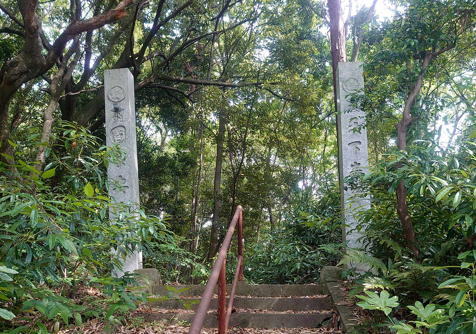 Stairs in the Woods